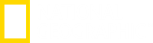 Nat Geo Logo copy.png